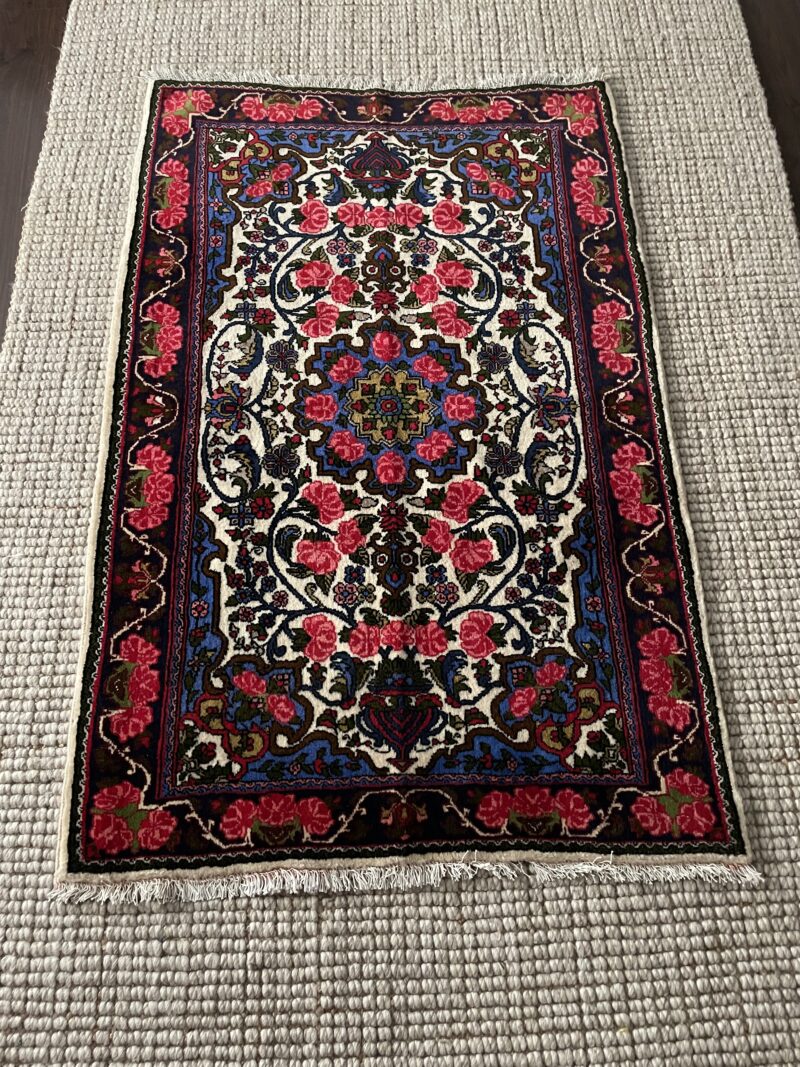 160X1 Persian rug Hamedan سجادة فارسيه همدان
