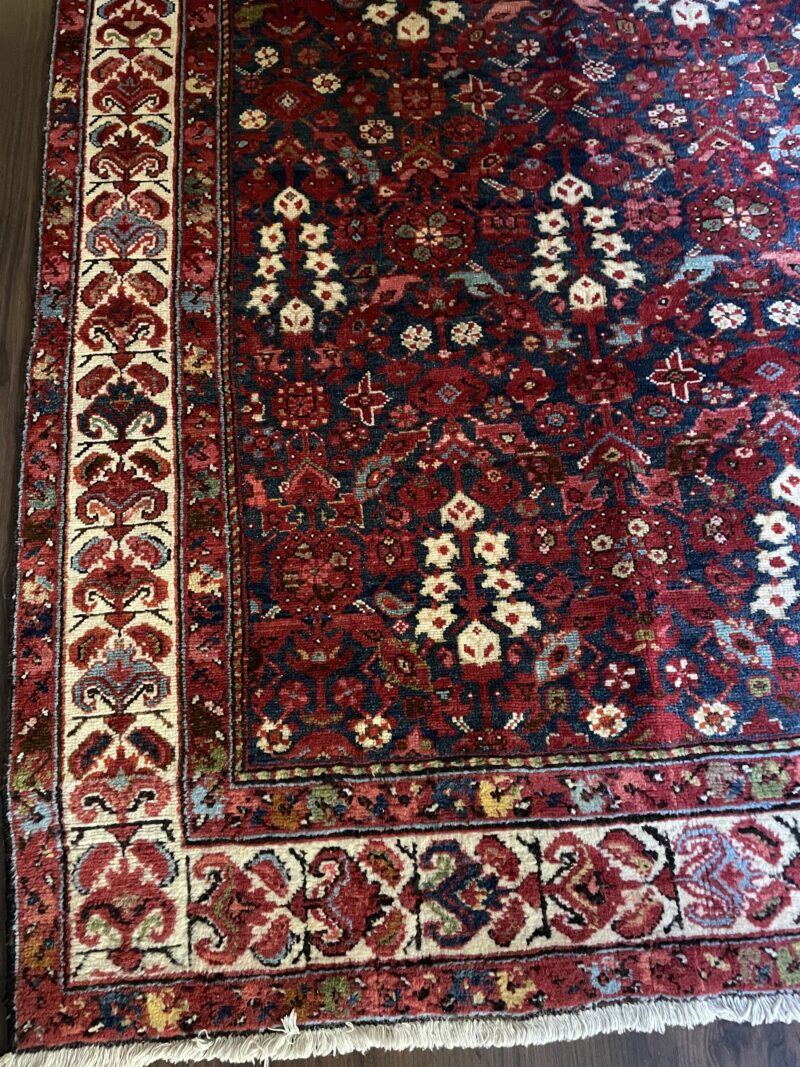 Persian rug Hamedan Jozan Malayer rug سجادة أنتيك   فارسيه همدان جوزان ملاير - Image 2