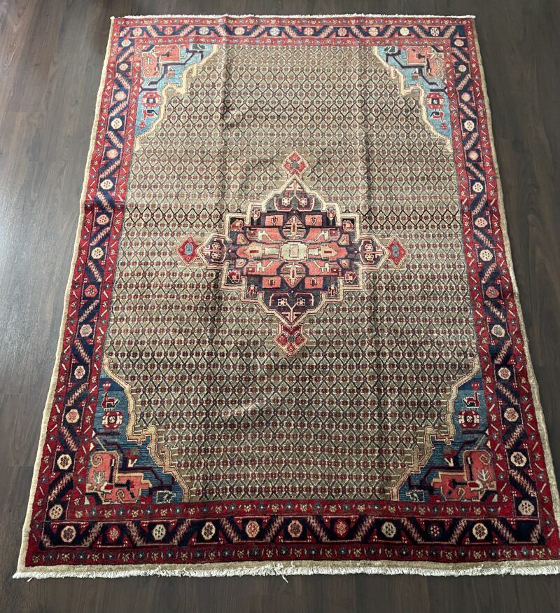 290X2 Persian rug Hamedan سجادة فارسيه همدان
