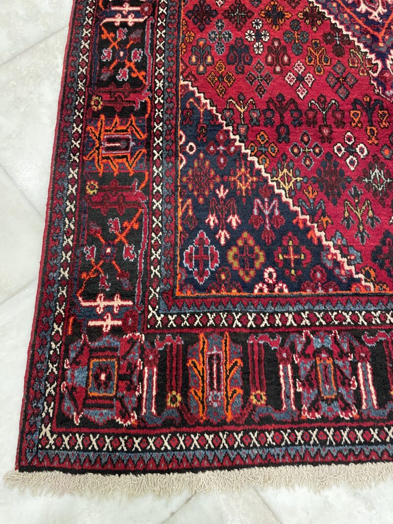 310X220 Shiraz Persian rug سجادة فارسيه شيرازيه - Image 3