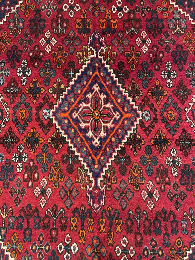 310X220 Shiraz Persian rug سجادة فارسيه شيرازيه - Image 4