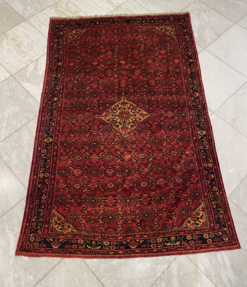 313X2 Persian Hamdan Rug سجادة فارسيه همدان