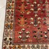 284X144 Persian Shirazi Rug سجادة فارسيه شيرازيه - Image 3