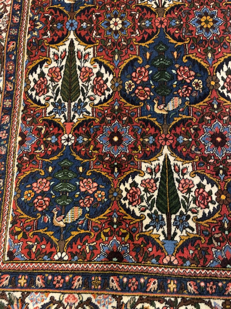264X157 Persian Bakhtiari Rug سجاد فارسي بختياري - Image 2
