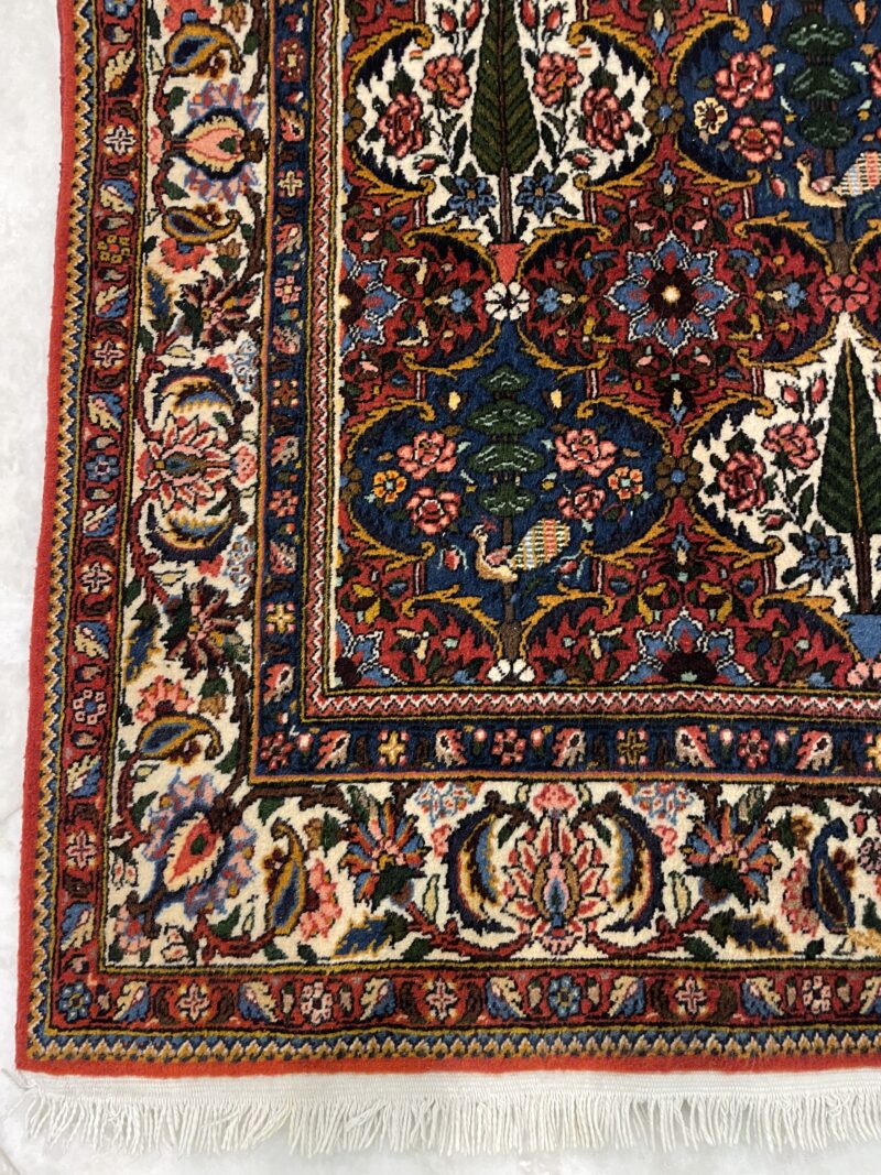 264X157 Persian Bakhtiari Rug سجاد فارسي بختياري - Image 3